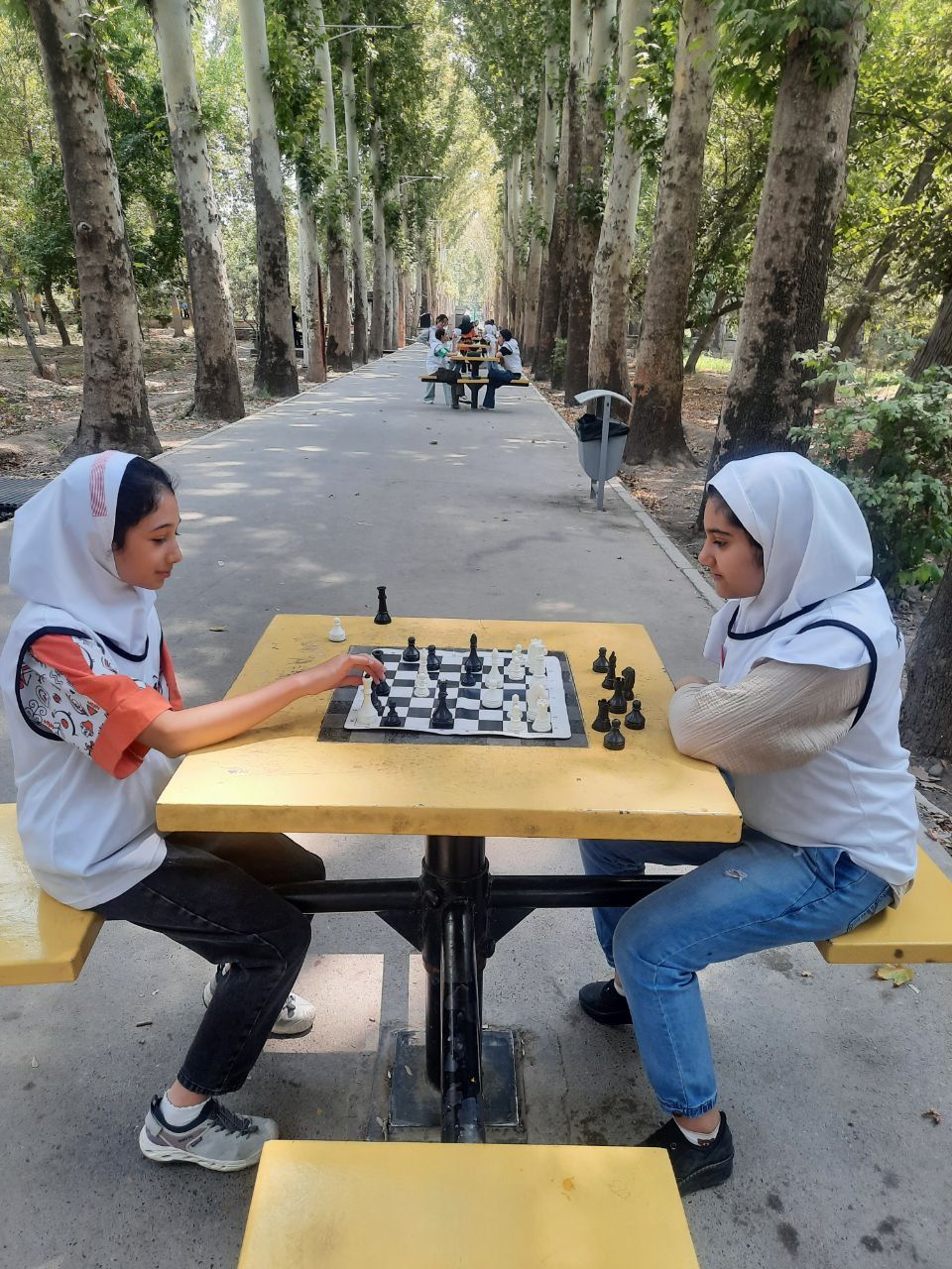 فعالیت شطرنج تابستانی ما در فضای سبز 1404